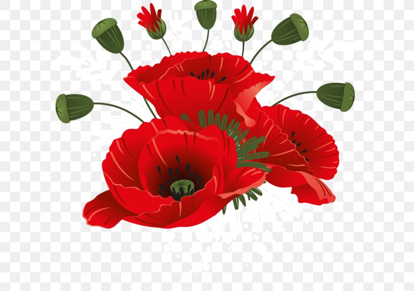 Remembrance And Reconciliation Day Ukraine Daytime Remembrance Poppy Clip Art, PNG, 600x577px, 8 May, Remembrance And Reconciliation Day, Annual Plant, Birthday, Computer Download Free
