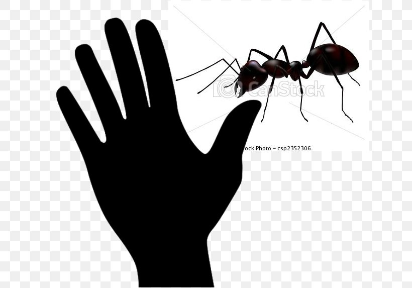 Ant Insect Clip Art, PNG, 650x573px, Ant, Arm, Black And White, Black Garden Ant, Drawing Download Free