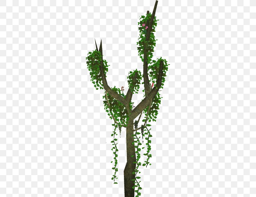 Zoo Tycoon 2 Tree Plant Branch Wiki Png 630x630px Zoo Tycoon 2
