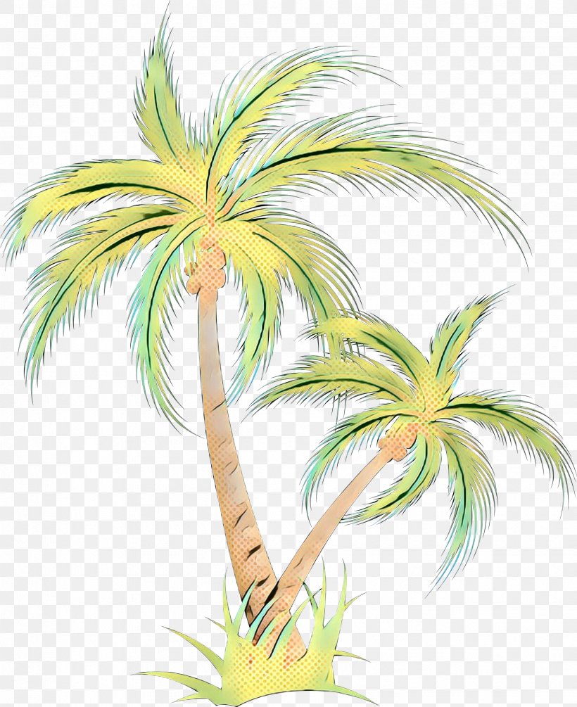 Asian Palmyra Palm Date Palm Plant Stem Illustration Leaf, PNG, 2446x3000px, Asian Palmyra Palm, Arecales, Borassus, Botany, Branching Download Free