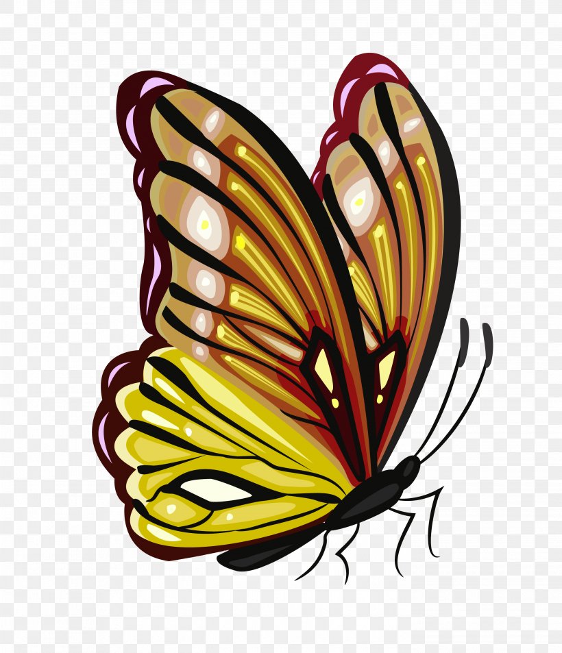 Butterfly Drawing Clip Art, PNG, 2796x3251px, Butterfly, Art, Arthropod, Brush Footed Butterfly, Color Download Free