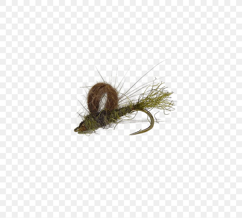 Caddisflies Fly Fishing Larva Holly Flies, PNG, 555x741px, Caddisflies, Bead, Brass, Fly, Fly Fishing Download Free