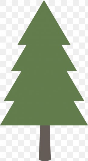 Woodland - Pine Fir Tree PNG