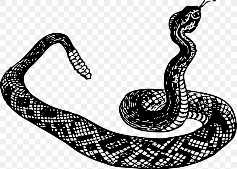 Rattlesnake Cobra Clip Art, PNG, 900x643px, Snake, Black And White, Boa Constrictor, Boas, Cobra Download Free