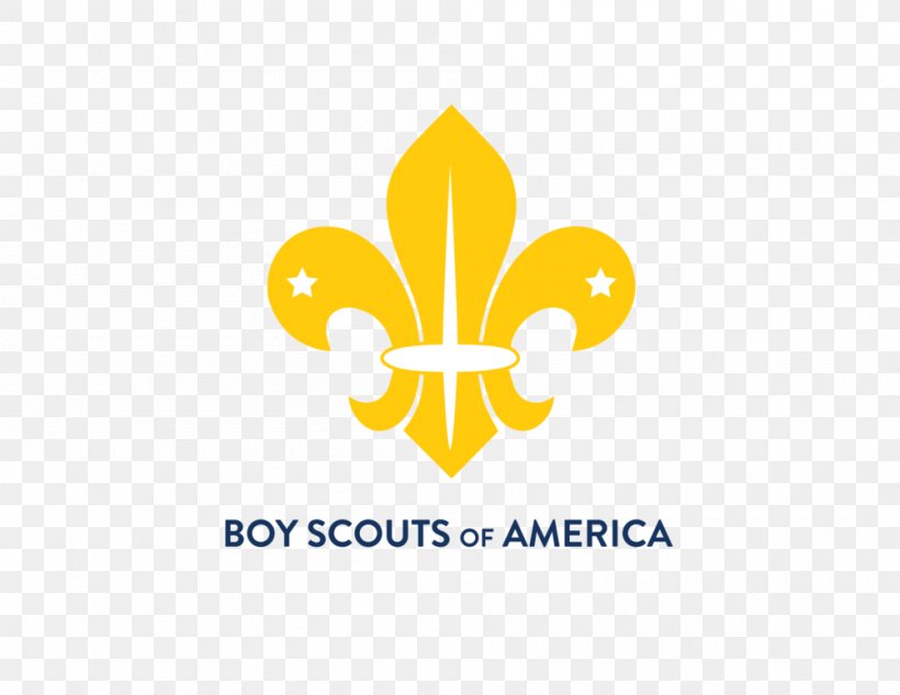 Scouting For Boys Fleur De Lis World Scout Emblem World Organization Of