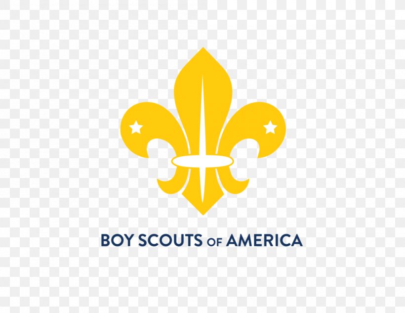 Scouting For Boys Fleur-de-lis World Scout Emblem World Organization Of