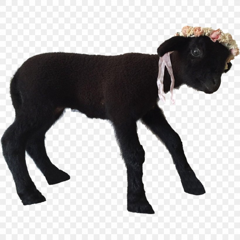 Sheep Goat Caprinae Livestock Taxidermy, PNG, 1901x1901px, Sheep, Animal, Animal Figure, Antelope, Caprinae Download Free