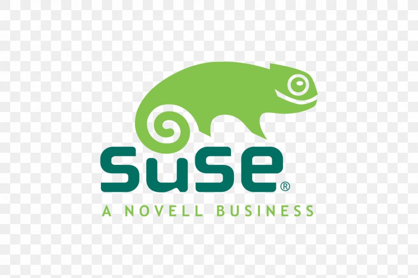 SUSE Linux Distributions SUSE Linux Enterprise, PNG, 1600x1067px, Suse Linux Distributions, Amphibian, Brand, Computer, Computer Software Download Free