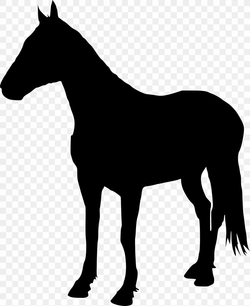 American Quarter Horse Stallion Pony Halter Silhouette, PNG, 2366x2893px, American Quarter Horse, Back, Black, Black And White, Bridle Download Free