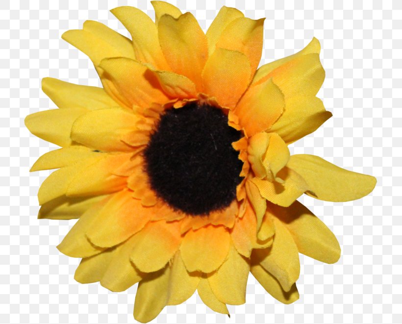 Art Sunflower M Drawing Flickr, PNG, 721x661px, Art, Cartoon, Cut Flowers, Daisy Family, Decorative Arts Download Free