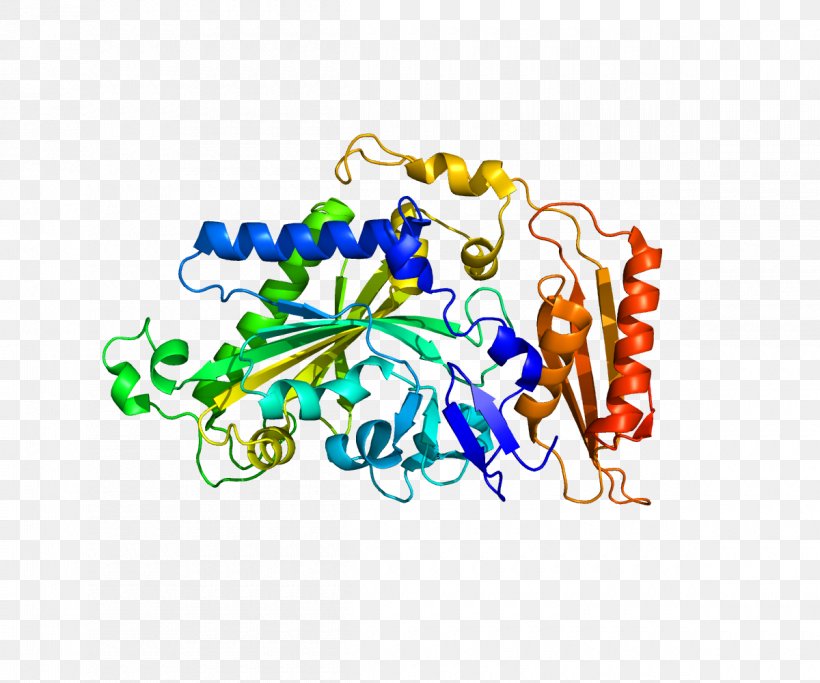 FARS2 Protein Transfer RNA Gene TRIM27, PNG, 1200x1000px, Protein, Aminoacyl Trna Synthetase, Art, Body Jewelry, Gene Download Free