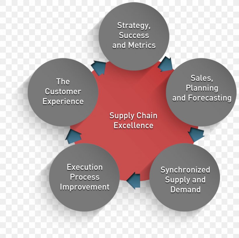 Supply Chain Organization Customer Demand Planning Global Sourcing, PNG, 896x890px, Supply Chain, Audit, Brand, Communication, Customer Demand Planning Download Free