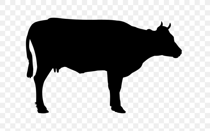 Bovine Cow-goat Family Bull Snout Livestock, PNG, 768x510px, Bovine, Bull, Cowgoat Family, Dairy Cow, Livestock Download Free