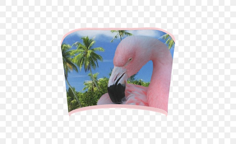 Flamingos Fauna Pink M Beak Sound, PNG, 500x500px, Flamingos, Beach, Beak, Bird, Fauna Download Free
