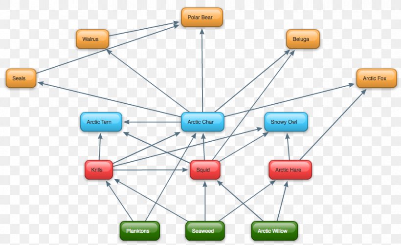 Food Web Antarctic Arctic Ocean Science, PNG, 915x562px, Food Web, Antarctic, Arctic, Arctic Ocean, Area Download Free