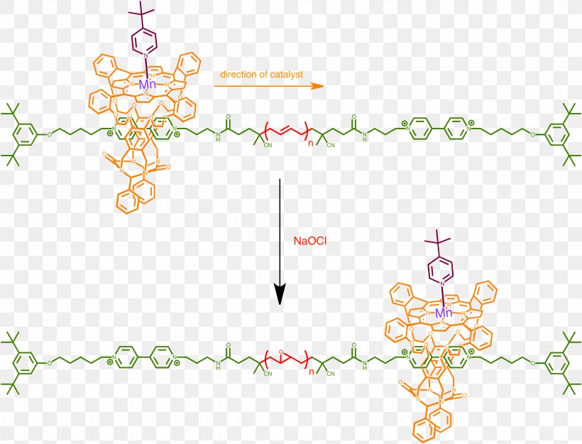 Supramolecular Catalysis Supramolecular Chemistry Crabtree's Catalyst Rotaxane, PNG, 6015x4586px, Supramolecular Catalysis, Active Site, Alkene, Area, Art Download Free