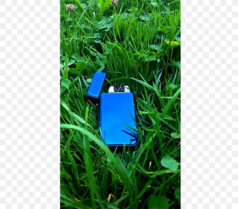 Lawn Meadow Plastic Grasses Family, PNG, 675x720px, Lawn, Cobalt Blue, Electric Blue, Family, Grass Download Free