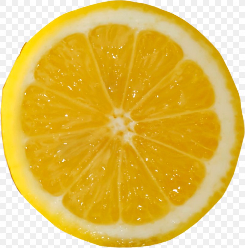 Lemonade, PNG, 1024x1037px, Lemon, Bitter Orange, Citric Acid, Citron, Citrus Download Free
