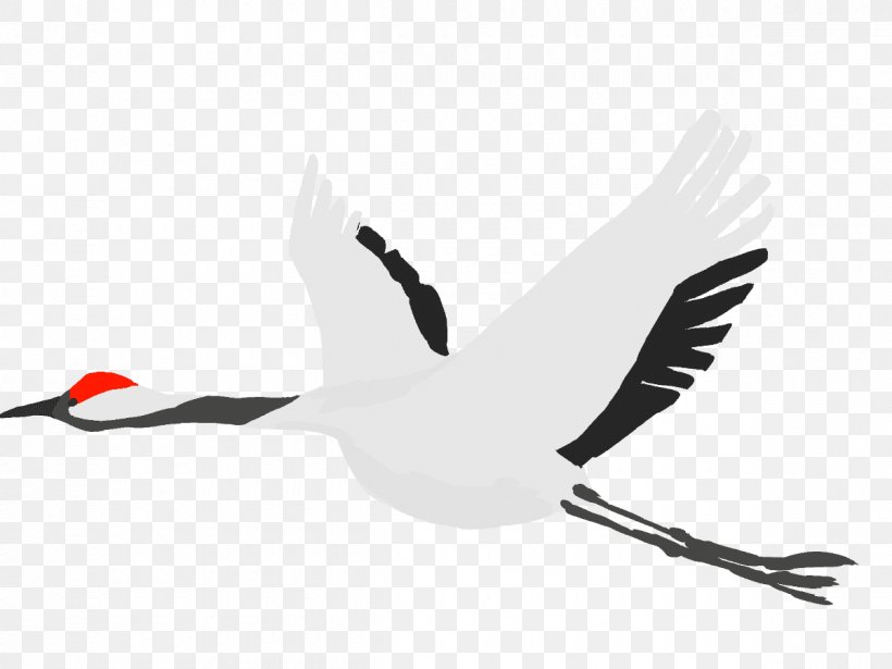 Crane White Stork Bird TSURU, PNG, 1200x900px, Crane, Animal, Beak, Bird, Black And White Download Free