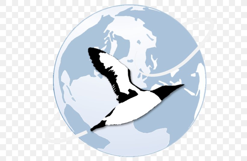 Marine Mammal Seabird Ocean Clip Art, PNG, 672x536px, Marine Mammal, Beak, Fish, Logo, Mammal Download Free