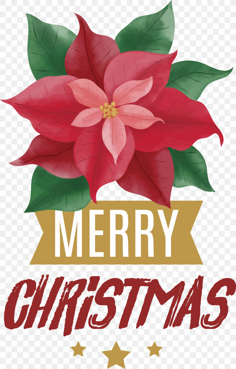 Merry Christmas, PNG, 2407x3754px, Merry Christmas, Merry Christmas Wish Download Free