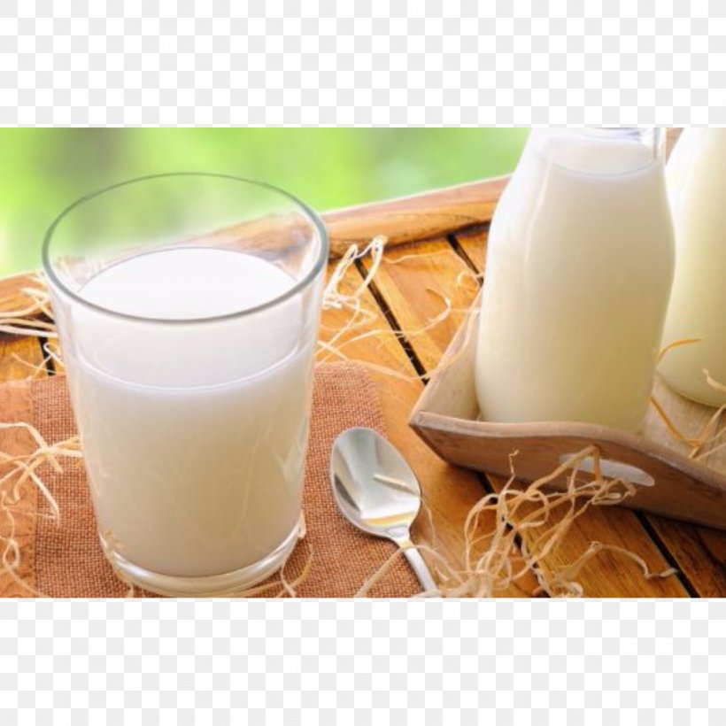 Milk Maharashtra Dairy Products Food Adulterant, PNG, 1440x1440px, Milk, Adulterant, Agriculture, Buttermilk, Company Download Free
