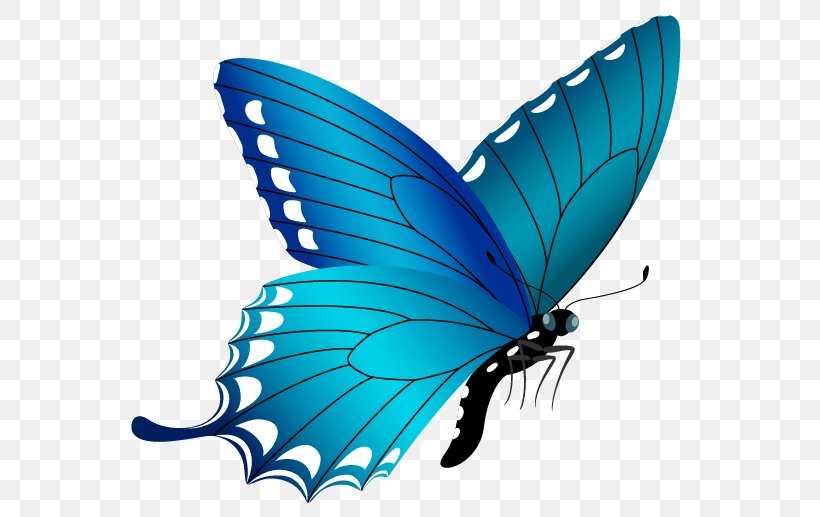 Butterfly Blue Clip Art, PNG, 592x517px, Butterfly, Arthropod, Blue, Bluegreen, Brush Footed Butterfly Download Free