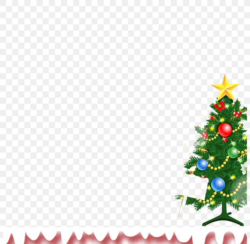 Christmas Tree Christmas Ornament, PNG, 800x800px, Christmas Tree, Aquifoliaceae, Border, Branch, Christmas Download Free