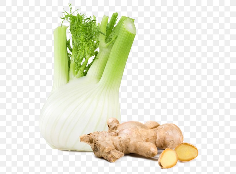Fennel Superfood Herb Health, PNG, 600x606px, Fennel, Eating, Fat, Food, Ginger Download Free