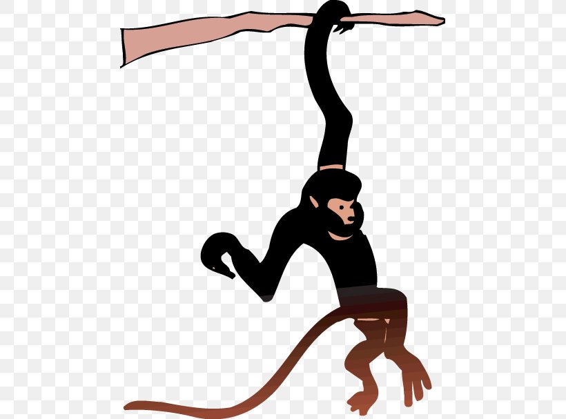 Ape Spider Monkey Clip Art, PNG, 471x607px, Ape, Art, Artwork, Beak, Cartoon Download Free