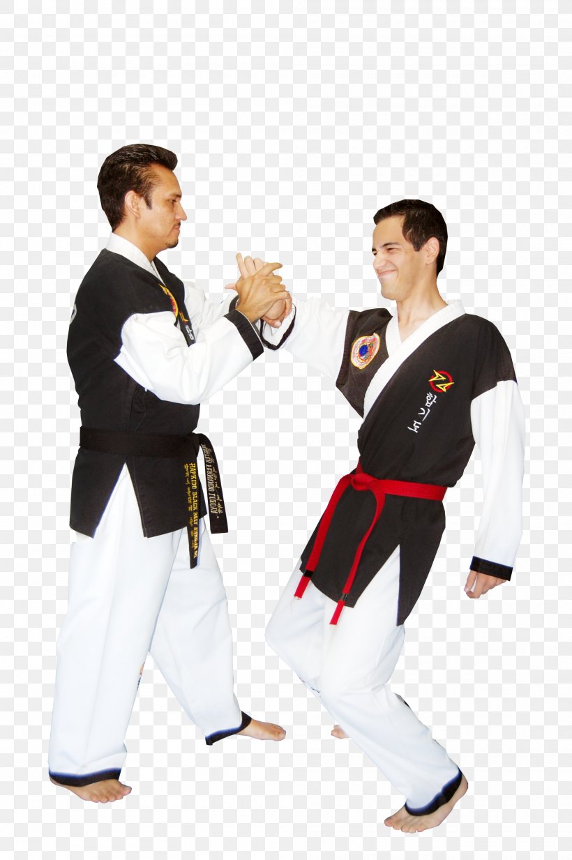 Hapkido Dobok Taekwondo Six Sigma Black Belt, PNG, 2000x3008px, Hapkido, American Society For Quality, Arm, Black Belt, Certification Download Free