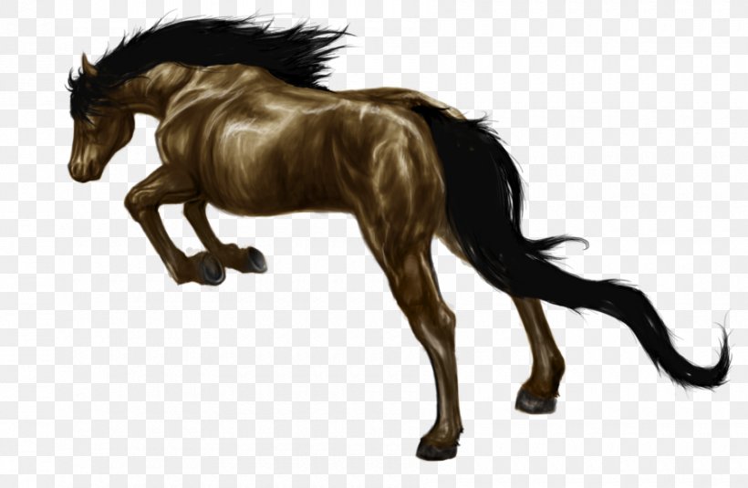 Mane Foal Mustang Stallion Pony, PNG, 900x588px, Mane, Animal, Animal Figure, Colt, Death Download Free