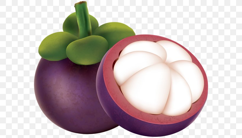 Purple Mangosteen Fruit Clip Art, PNG, 600x470px, Purple Mangosteen, Auglis, Egg, Food, Fruit Download Free