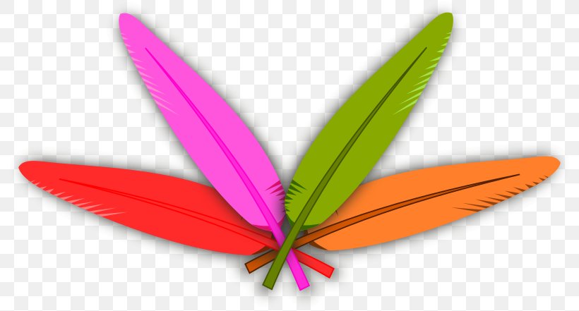Turkey Meat Feather Clip Art, PNG, 800x441px, Turkey, Butterfly, Color, Domesticated Turkey, Drawing Download Free