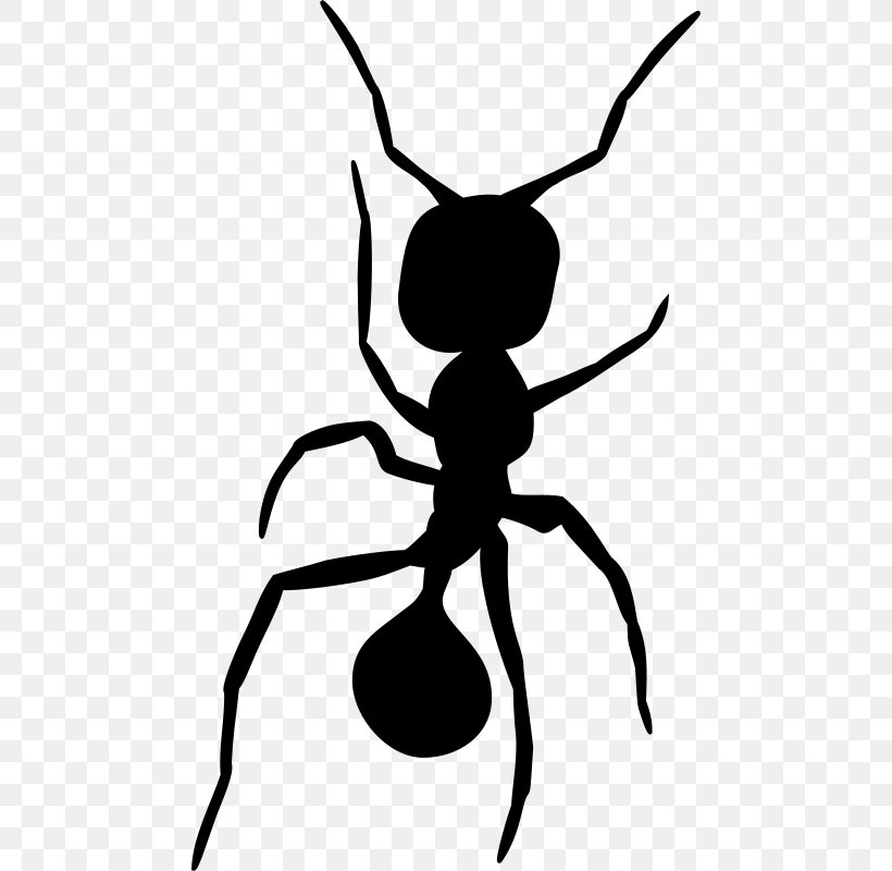 Ant Insect Silhouette Clip Art, PNG, 468x800px, Ant, Artwork, Black And White, Carpenter Ant, Drawing Download Free