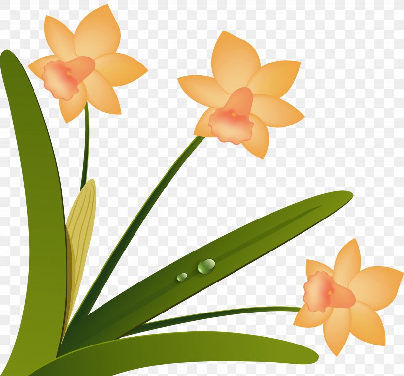 Cut Flowers Floristry Floral Design Moth Orchids, PNG, 5157x4806px, Flower, Cattleya, Cattleya Orchids, Cut Flowers, Flora Download Free