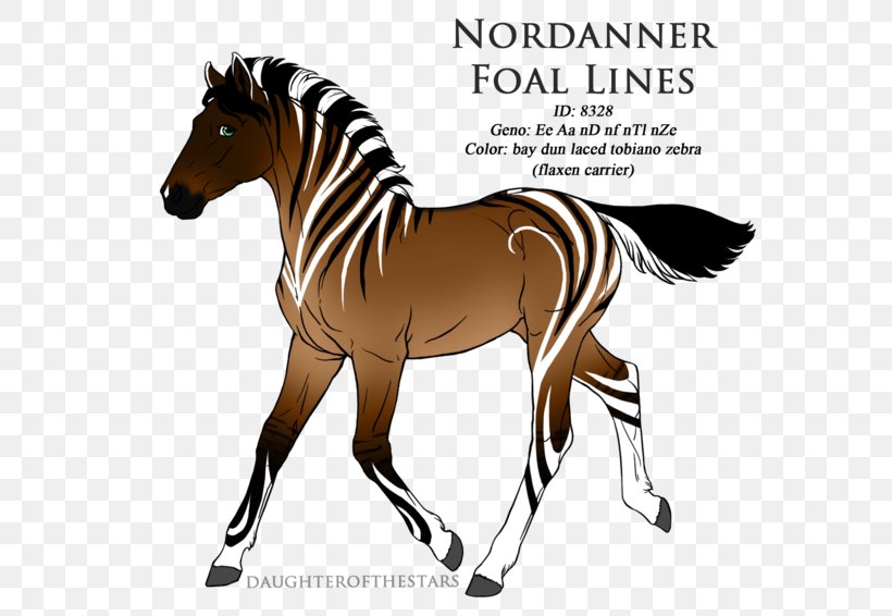 Mustang Mane Foal Stallion Mare, PNG, 600x566px, Mustang, Animal Figure, Appaloosa, Arabian Horse, Bay Download Free