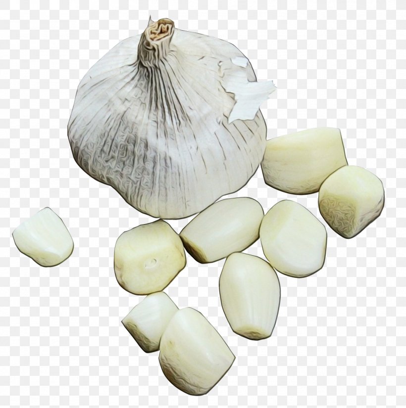 Onion Cartoon, PNG, 1371x1380px, Garlic Bread, Allium, Amaryllis Family, Black Garlic, Elephant Garlic Download Free