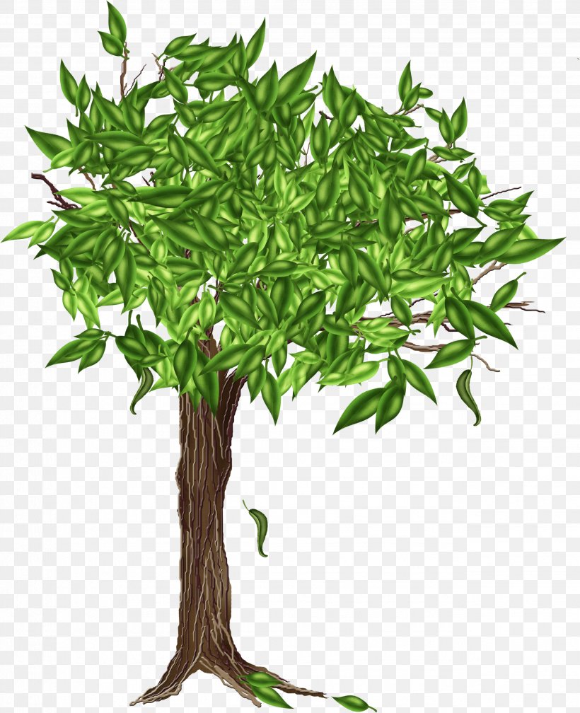 Tree Drawing Clip Art, PNG, 2573x3165px, Tree, Branch, Digital Image, Drawing, Flowerpot Download Free