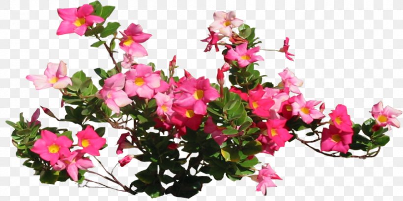 Flower Clip Art, PNG, 900x450px, Flower, Annual Plant, Art, Artificial Flower, Azalea Download Free