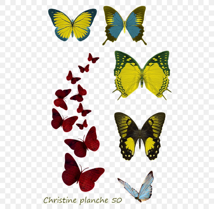 Image Desktop Wallpaper Butterfly Painting, PNG, 518x800px, Butterfly, Art, Arthropod, Brush Footed Butterfly, Idea Download Free