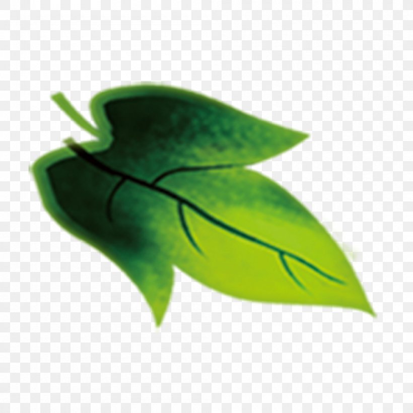 Leaf Green Euclidean Vector, PNG, 1000x1000px, Leaf, Autumn Leaf Color, Banana Leaf, Branch, Chart Download Free