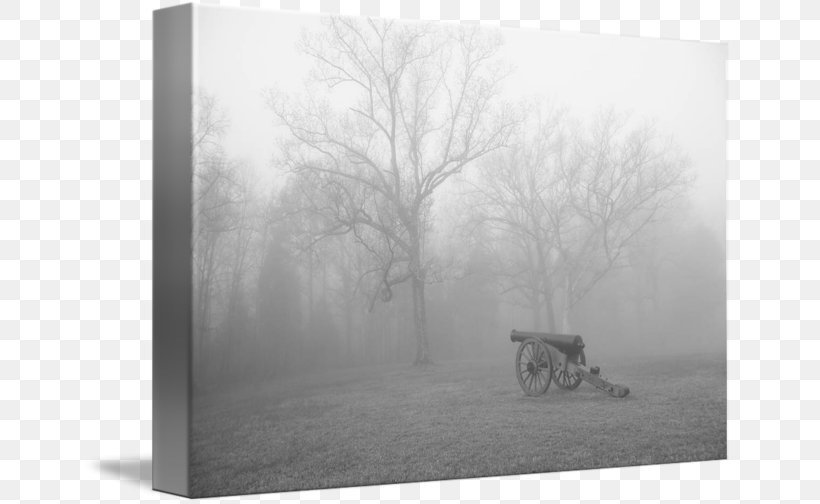 Stock Photography Wood Tree, PNG, 650x504px, Photography, Black And White, Fog, Landscape, Mist Download Free