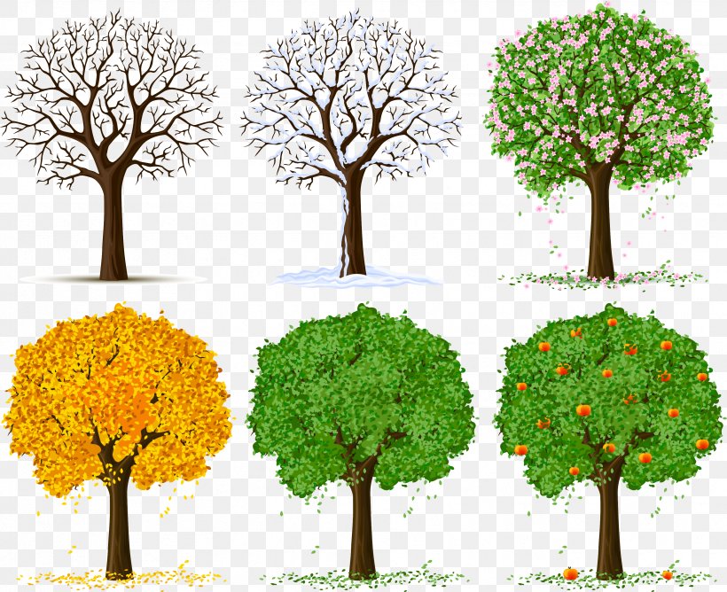 Tree Silhouette Clip Art, PNG, 3322x2710px, Tree, Art, Blossom, Branch, Grass Download Free