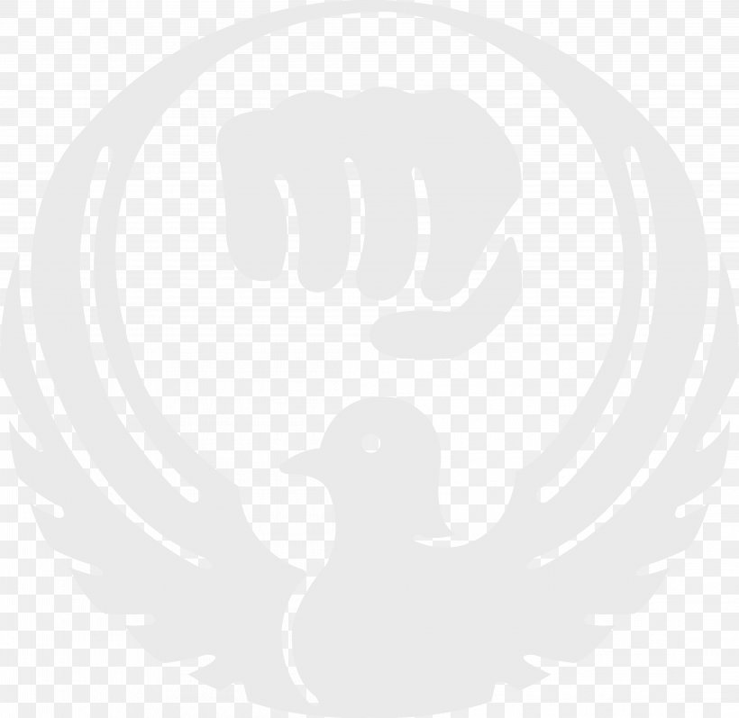 Wadōkai Logo White Karate Wadō-ryū, PNG, 4425x4303px, Logo, Animal, Black And White, Head, Karate Download Free