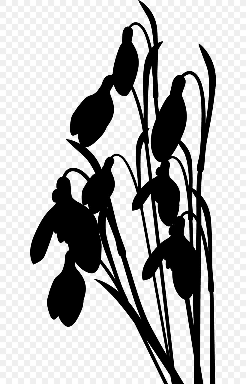Clip Art Visual Arts Silhouette Flower, PNG, 620x1280px, Visual Arts, Art, Blackandwhite, Branching, Flower Download Free