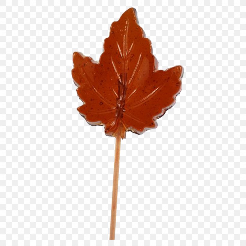 Lollipop Maple Leaf Maple Syrup Maple Sugar, PNG, 1280x1280px, Lollipop, Article, Candy, Flower, Hickey Download Free