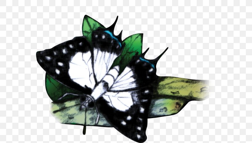 Monarch Butterfly Fijian Archipelago Moth Fijian Swallowtail, PNG, 684x466px, Monarch Butterfly, Archipelago, Arthropod, Brush Footed Butterfly, Brushfooted Butterflies Download Free