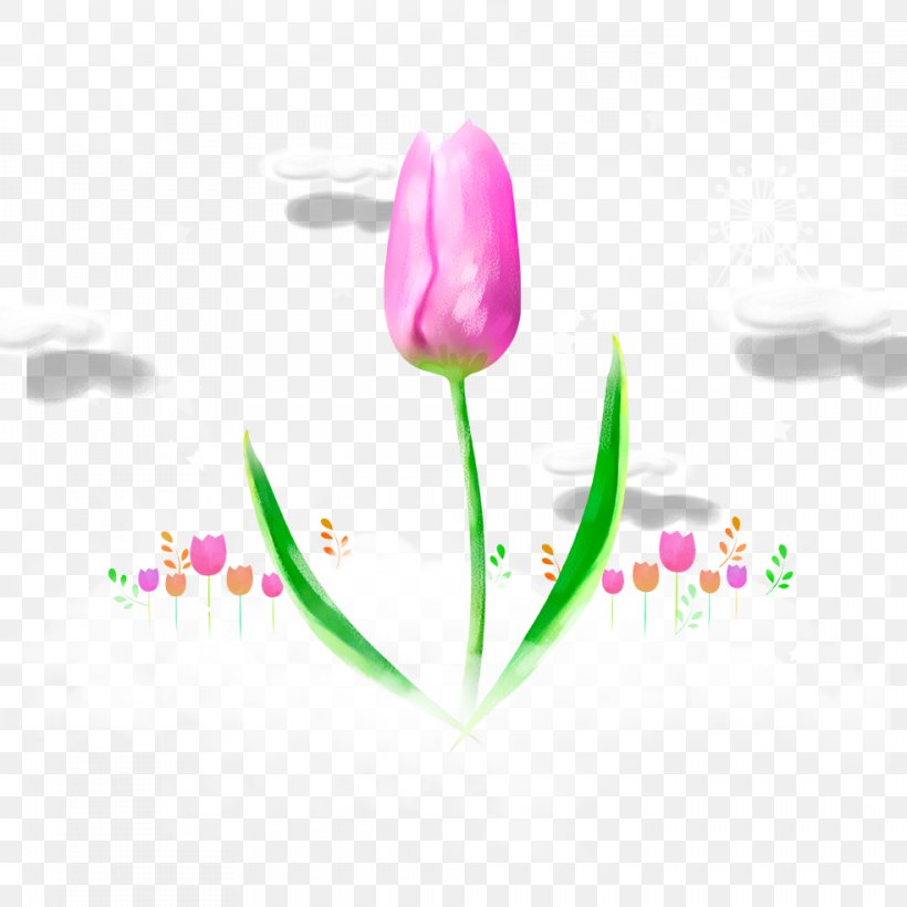 Tulip Flower, PNG, 984x984px, Tulip, Color, Floral Design, Flower, Flowering Plant Download Free