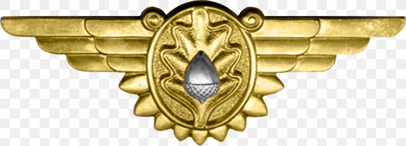 United States Navy Flight Surgeon Badge Insegna, PNG, 1731x625px, United States Navy, Army Officer, Badge, Brass, Flight Nurse Download Free